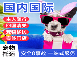 大连机场空运国际宠物托运 【国